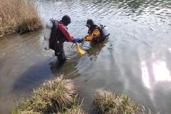 Alten_Rhein_Putzata_2023_020