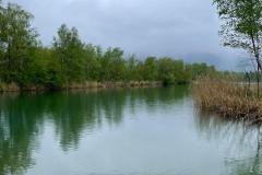 Alten-Rhein-Putzata-2024-005