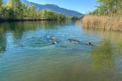Alten-Rhein-Putzata-2026-010
