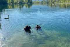 Alten-Rhein-Putzata-2026-039