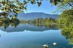 Alten-Rhein-Putzata-2026-040