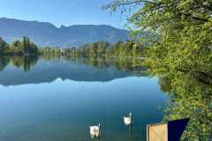 Alten-Rhein-Putzata-2026-053