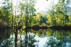 Alten-Rhein-Putzata-2026-071