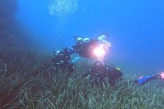 Elba-2024-081