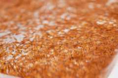 Fischereizentrum-Steinach-2026-011