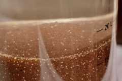 Fischereizentrum-Steinach-2026-015