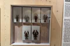 Fischereizentrum-Steinach-2026-020