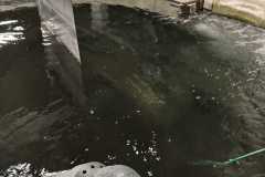 Fischereizentrum-Steinach-2026-023