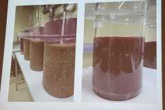 Fischereizentrum-Steinach-2026-026