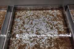 Fischereizentrum-Steinach-2026-031