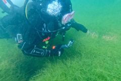 ladies-dive-2026-010