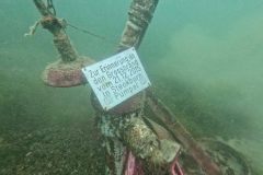 ladies-dive-2026-011
