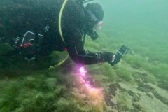 ladies-dive-2026-014
