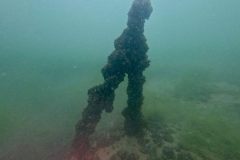 ladies-dive-2026-017