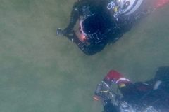 ladies-dive-2026-020