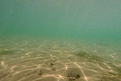 ladies-dive-2026-022