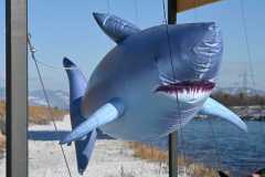 Neujahrsschwimmen-2026-009