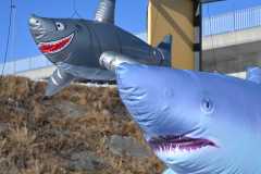 Neujahrsschwimmen-2026-022