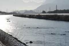 Neujahrsschwimmen-2026-055