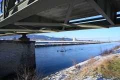 Neujahrsschwimmen-2026-061