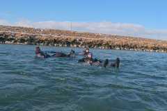 Neujahrsschwimmen-2026-086