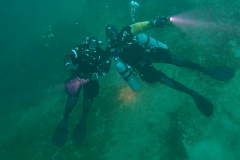 2022_Plansee_017