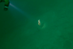 2022_Plansee_018