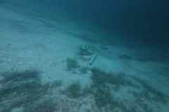 Plansee-2025-0017