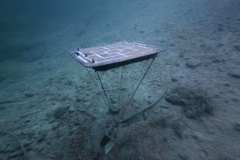 Plansee-2025-0021