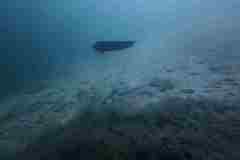 Plansee-2025-0022