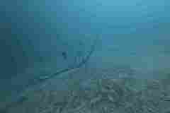Plansee-2025-0025
