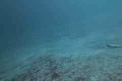 Plansee-2025-0026