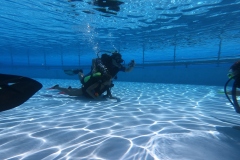 DCIM\100GOPRO\GOPR1262.JPG