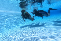 DCIM\100GOPRO\GOPR1264.JPG