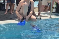 schnuppertauchen-altstaetten-28.06.26-019