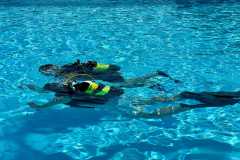 schnuppertauchen-widnau-2025-001