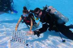 schnuppertauchen-widnau-2025-011