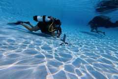 schnuppertauchen-widnau-2025-032