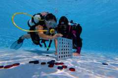 schnuppertauchen-widnau-2025-035