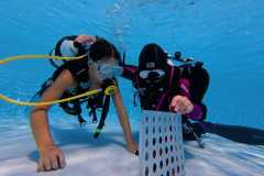schnuppertauchen-widnau-2025-037