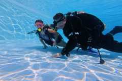 schnuppertauchen-widnau-2025-038