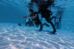 schnuppertauchen-widnau-2025-040