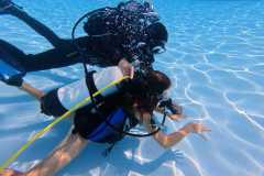 schnuppertauchen-widnau-2025-046