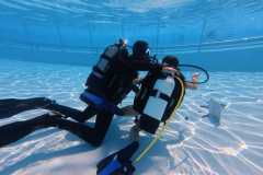 schnuppertauchen-widnau-2025-047