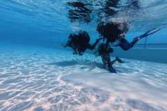 schnuppertauchen-widnau-2025-049