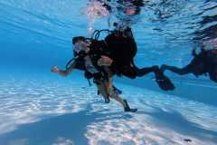 schnuppertauchen-widnau-2025-050