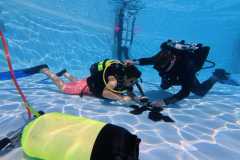 schnuppertauchen-widnau-2025-052