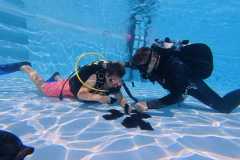 schnuppertauchen-widnau-2025-053