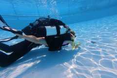 schnuppertauchen-widnau-2025-065