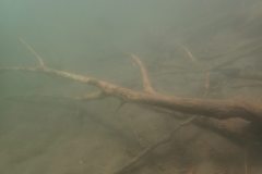 2022_TGW_meets_Frogs_005